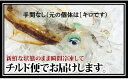 【ふるさと納税】 アオリイカ 750g 下処理済 冷凍 手間なし 活き締め いか イカ 烏賊 刺身 天ぷら 煮つけ 高知 中土佐