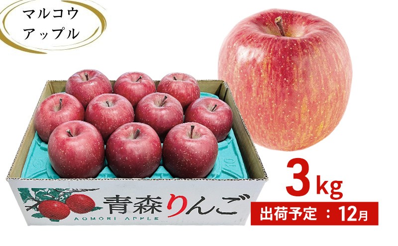 
                  【12月発送】訳あり 家庭用 濃厚サンふじ 約3kg 糖度13度以上【青森りんご・マルコウアップル】
                