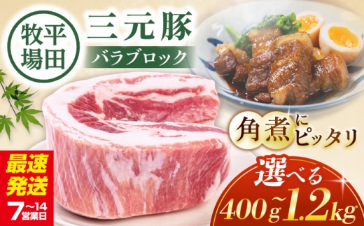 【400g】平田牧場 バラ ブロック 400g 《喜茂別町》【平田牧場】  豚肉 ブロック 豚バラブロック 焼肉 国産 北海道 ブロック肉 特産品 ぶた肉 バラ 冷凍  [AJAP169] 6000 6000円 6千円