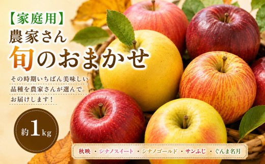 【2026年先行予約】【家庭用】農家さん旬のおまかせ 約1kg【10月上旬～12月中旬頃にかけて順次発送予定】| 果物 くだもの フルーツ 林檎 りんご リンゴ 旬 おまかせ 果実 アップル 家庭用  秋映 シナノスイート シナノゴールド サンふじ ぐんま名月 長野県 塩尻市