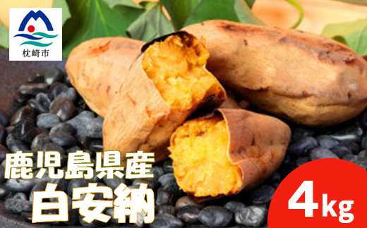 本場鹿児島さつまいも 【白安納】4kg　2025年10月上旬より発Z0-14【配送不可地域：離島】