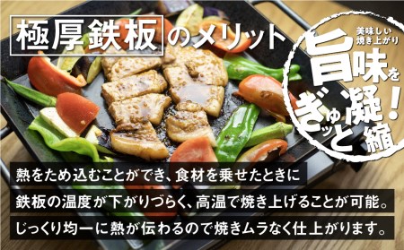 【AZUMOA -outdoor & camping-】 IH対応　極厚ステンレス鉄板（SUS430浅型） 厚さ6ｍｍ / バーベキュー キャンプ 肉 アウトドア[Q1704]