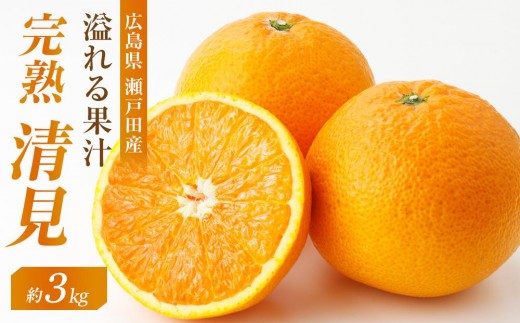 
                  めっちゃジューシー　完熟清見3ｋｇ　＜2027年3月下旬より発送開始＞【ミカン みかん 蜜柑 フルーツ 果物 完熟 青果 柑橘 尾道市】
                