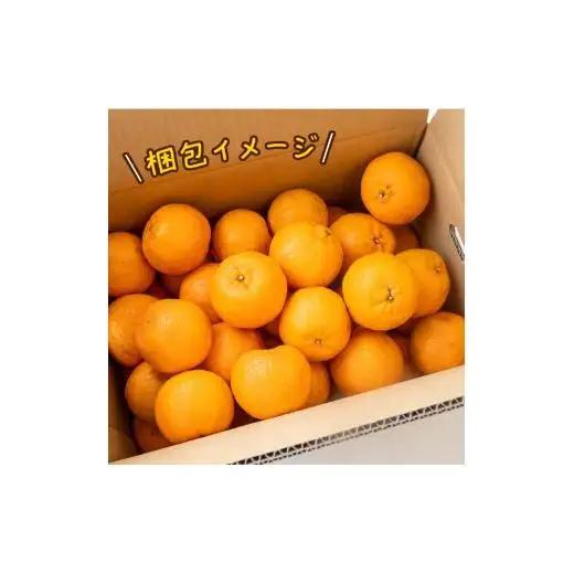 ぽんかん 優品 5kg 早期受付開始 2027年１月中旬