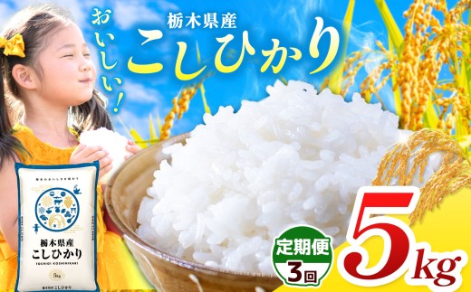 【栃木県共通返礼品】【令和7年度産】 訳あり 栃木県産コシヒカリ 15kg |定期便 選べる ふるさと 納税 コシヒカリ お米 精米 白米 玄米 大粒 共通返礼品 送料無料 那珂川町 栃木県