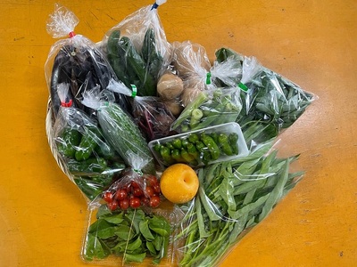 a20-447　【定期便 全2回】ジモベジ 野菜 セット