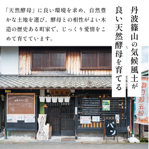 全粒粉パン ６種入り セット | 兵庫県 丹波篠山市 全粒粉 国産小麦 有機 カンパーニュ オーガニック パンセット 詰め合わせ 天然酵母 冷凍 CT03