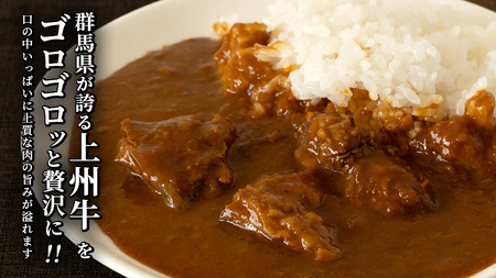 上州牛カレー レトルト 大容量 200g × 20パック 嬬恋キャベツ使用 [AH066tu]