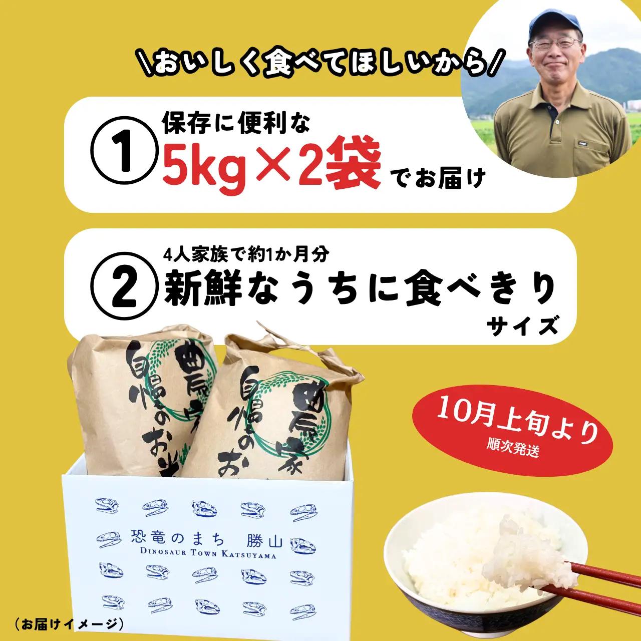 米 2026年産新米 コシヒカリ 勝山産 10kg（精米）【先行予約】