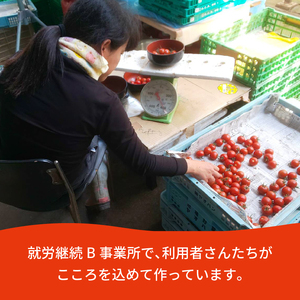 トマト プチトマト ミニトマト 就労支援 