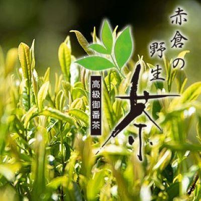 ふるさと納税 熊野市 赤倉の野生茶 |  | 01