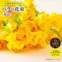 【ふるさと納税】【6回定期便】【記念日には バラ を送ろう】 バラ の 花束 （ 黄 ）＜花工房るふらん＞ [CCR033] 長崎 西海 花 花束 お祝い ギフト プレゼント 記念日 誕生日