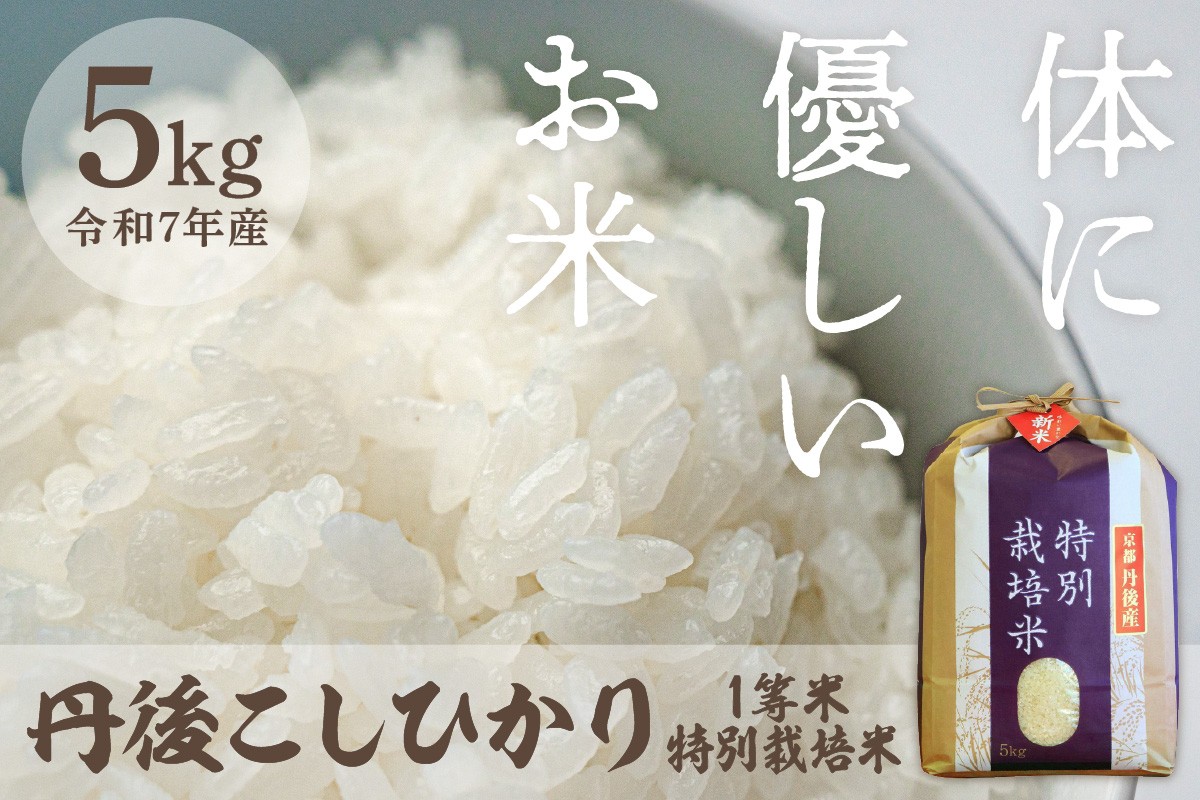 
                  令和7年産 丹後こしひかり 特別栽培米 5kg　白米 お弁当 おにぎり 京都産 京丹後 コシヒカリ ブランド米 久美浜 生産者応援 農家応援 送料無料　MU00054
                