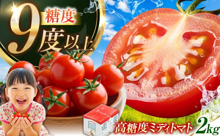 
                  低農薬栽培！【11月上旬～翌年6月末まで順次発送】江田島ロマーノ トマト 2kg 野菜 やさい トマト とまと フルーツ 国産 産地直送 完熟 旬 甘い ミニトマト フルーツトマト 家庭菜園 栽培 健康 美容 リコピン カロテン 栄養 夏野菜 冬野菜 リピート ギフト 人気 高品質 好評 広島県産 トマトジュース 江田島市/有限会社グリーンファーム沖美[XAB005]
                