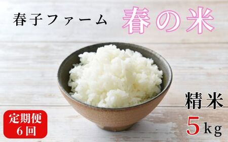 《令和7年産》【定期便6ヶ月】春の米　精米　5kg ／ 米 お米 こめ コメ ごはん 無農薬 農薬不使用 春の米 精米 白米 令和7年産 5kg 定期便 千葉県 東庄町 春子ファーム 産地直送 産直 送料無料