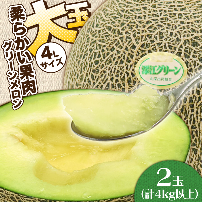 深江グリーンメロン2玉（4kg以上）  / メロン めろん 舐瓜 フルーツ / 南島原市 / 贅沢宝庫 [SDZ037]