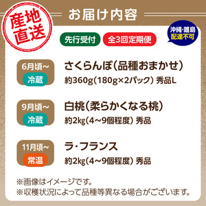 【発送月固定】山形旬彩！こだわりフルーツ定期便全３回Ｃ 063-T03