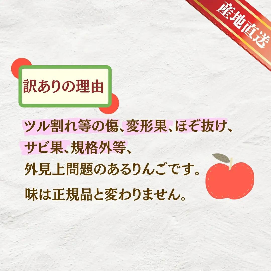 【2026年先行予約】サンふじ 約5kg 訳あり | りんご