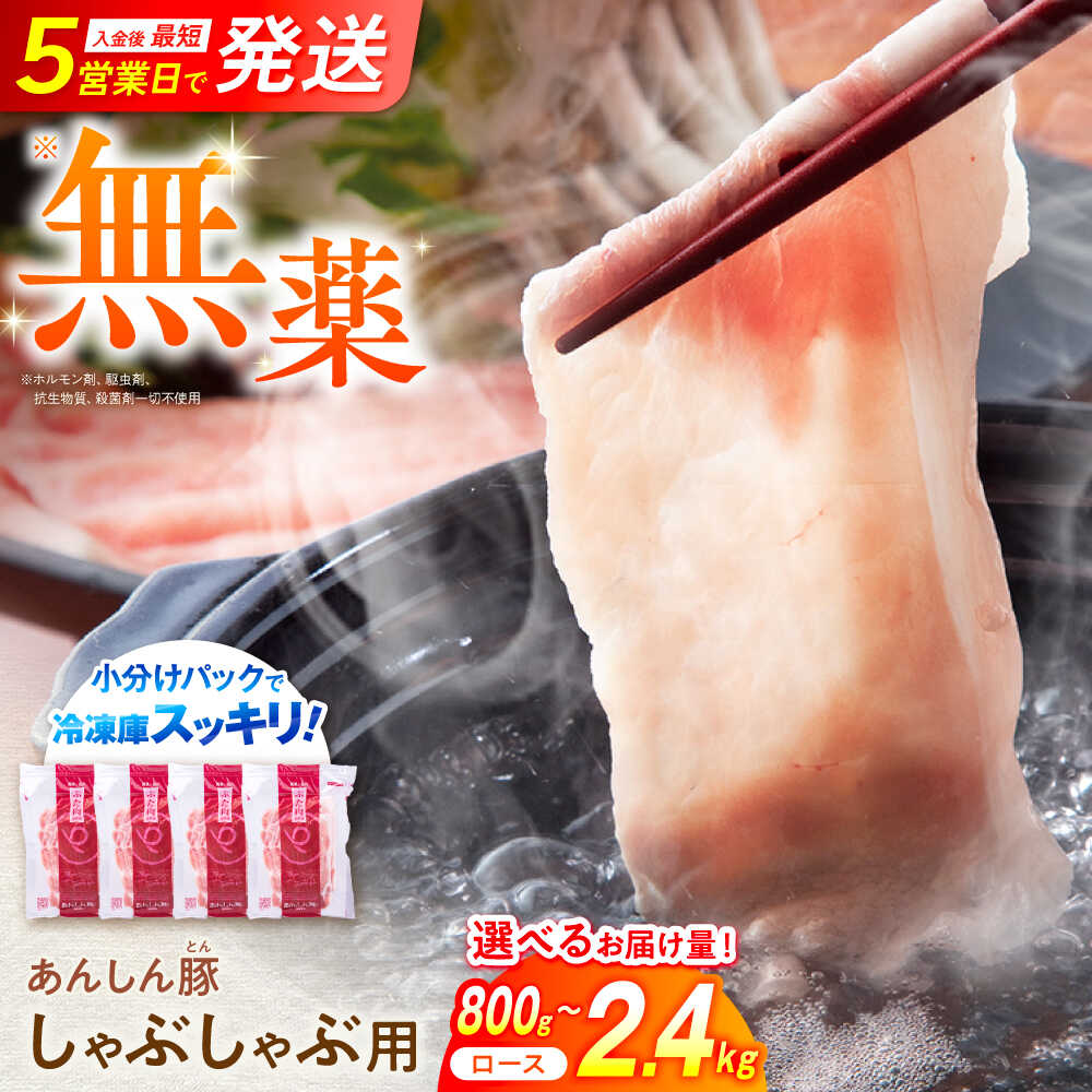 【ふるさと納税】【容量が選べる！】あんしん豚 ロースしゃぶしゃぶ用 豚肉 小分け しゃぶしゃぶ ロース 冷凍 白川町 / 藤井ファーム[AWAF057]