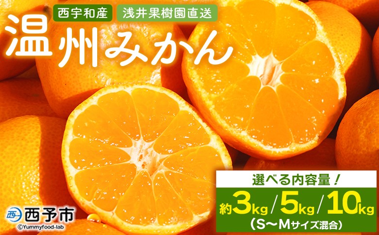 
                  先行予約 ＜浅井果樹園 温州みかん 約3/5/10kg（南柑20号）＞ 選べる 内容量 果物 柑橘 フルーツ ミカン 蜜柑 オレンジ うんしゅうみかん ウンシュウミカン 食べて応援 特産品 西宇和 愛媛県 西予市 【常温】『2025年12月中旬～12月下旬迄に順次出荷予定』
                