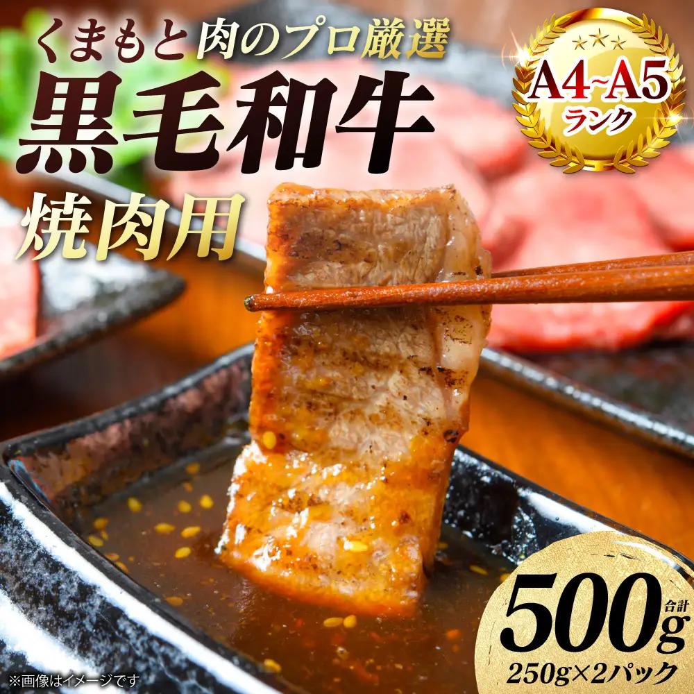牛肉 くまもと黒毛和牛 焼肉用 500g （250g×2パック） A4～A5ランク 牛肉