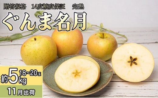 11月 贈答規格 完熟ぐんま名月 約5kg（18～20玉）14度糖度保証【青森りんご・ゆうきアップル・11月】 果物 フルーツ 黄色りんご 高糖度 糖度14度以上