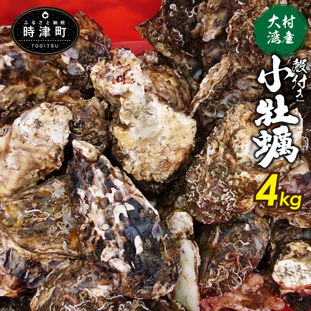 【ふるさと納税】大村湾産 殻付き 小牡蠣 加熱用 Cセット 約4kg 長崎 カキ かき 冷蔵 【2026年2月上旬～3月上旬迄順次発送予定】