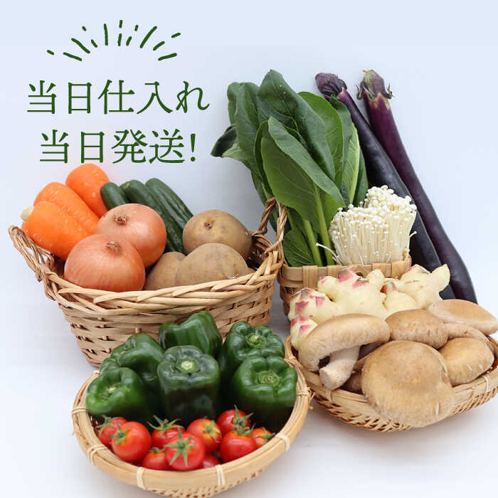 【偶数月コース】野菜 キノコ 10品目以上 詰め合わせ 6回 定期便  / 南島原市 / 吉岡青果 [SCZ006]_イメージ3