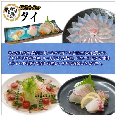 ふるさと納税 松浦市 鷹島のおいしかタイ(1.2kg) |  | 01