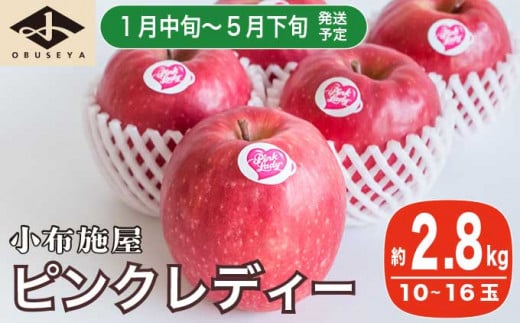 冬春が旬の希少なりんご ピンクレディー 約2.8kg 10～16玉［小布施屋］りんご 林檎 リンゴ 果物 フルーツ 期間限定 数量限定 長野県産 信州産 小布施町 2月発送 3月発送 4月発送 5月発送 令和7年産 【2026年1月中旬～5月下旬】［A-51］