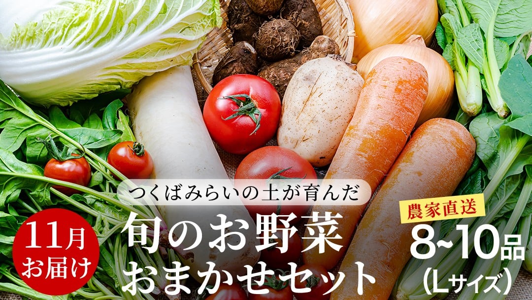 
            農家直送 旬のお野菜 おまかせセット 【2025年11月お届け】 Lサイズ（8~10品） 野菜セット 野菜 旬 詰め合わせ やさい おまかせ 自然 春野菜 夏野菜 セット 季節 新鮮 旬 農家直送
          
