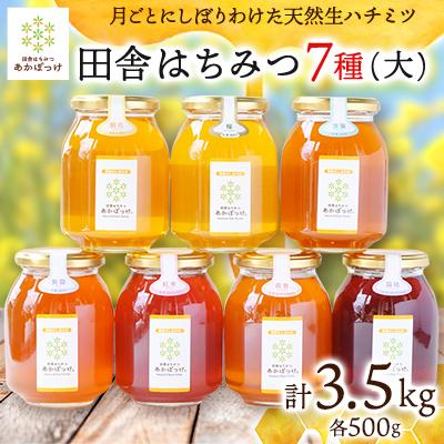 ふるさと納税 五霞町 500gを7種7本セット【生ハチミツ】月ごとに楽しむ田舎はちみつ