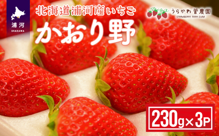 【先行受付開始！】北海道浦河産いちご「かおり野」230g×3P[13-113]