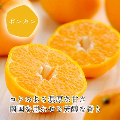 愛媛の新春柑橘を食べ比べ! ポンカン・いよかんセット便【訳あり】【C25−194】【複数個口で配送】【4066395】