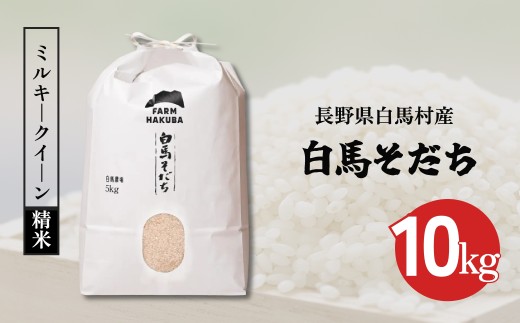 ＜令和7年産＞『白馬そだち』　ミルキークイーン10kg (精米)/長野県白馬村産　お米　コメ　こめ　低アミロース　新米　白米　冷めてもモチモチ【B0040175】