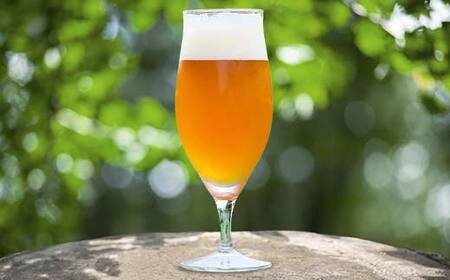 ＼3ヶ月連続定期便／ 【Toshi Ishii】日本を代表するブリューマスターが造る「ORIHIME」 IPA 355ml×8缶を月1回、3ヶ月連続でお届け【 クラフトビール お酒 栃木県 足利市 】