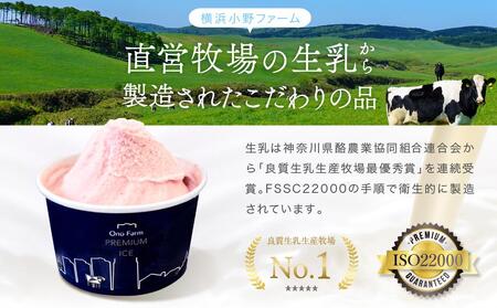 牧場直送ご当地アイスセット（5種10個入）〈小野ファーム〉 ABN0002