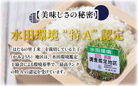 【令和5年産】【3ヶ月定期便】ベストファーマー ほたるの里 特別栽培こしひかり 6kg（2kg×3） × 3回 計18㎏ 化学肥料不使用 農薬70％以上カット [C-002002]