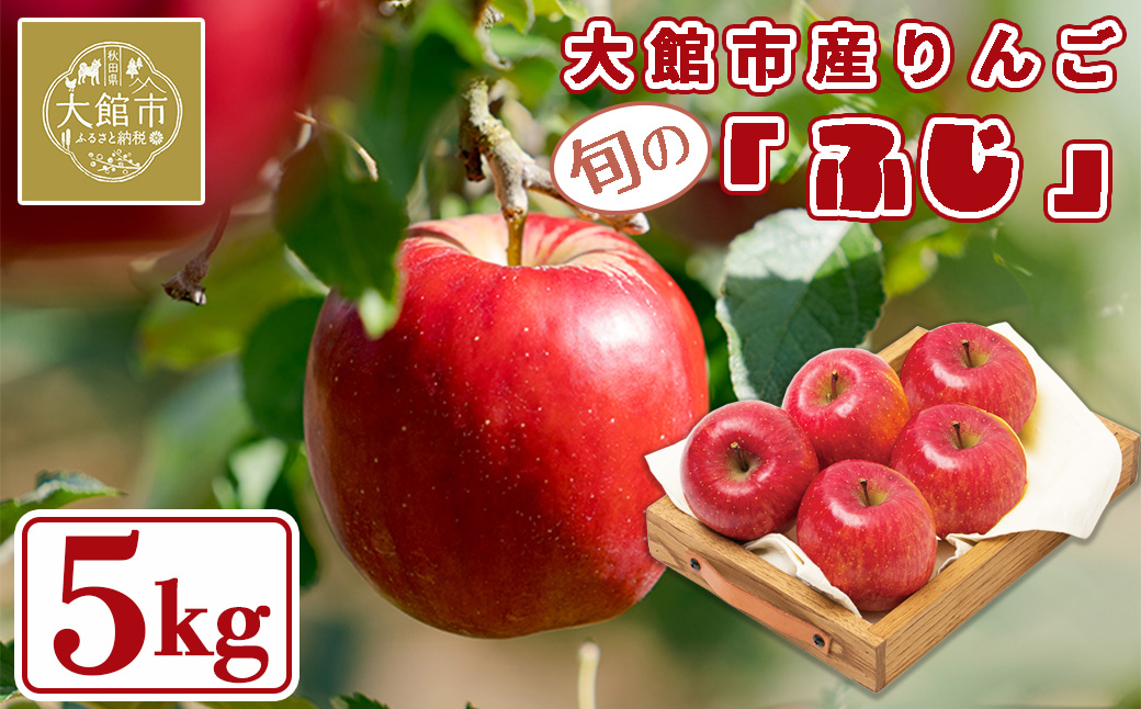 【数量限定・期間限定】75P3408　陽気な母さんのりんご「ふじ」　5kg