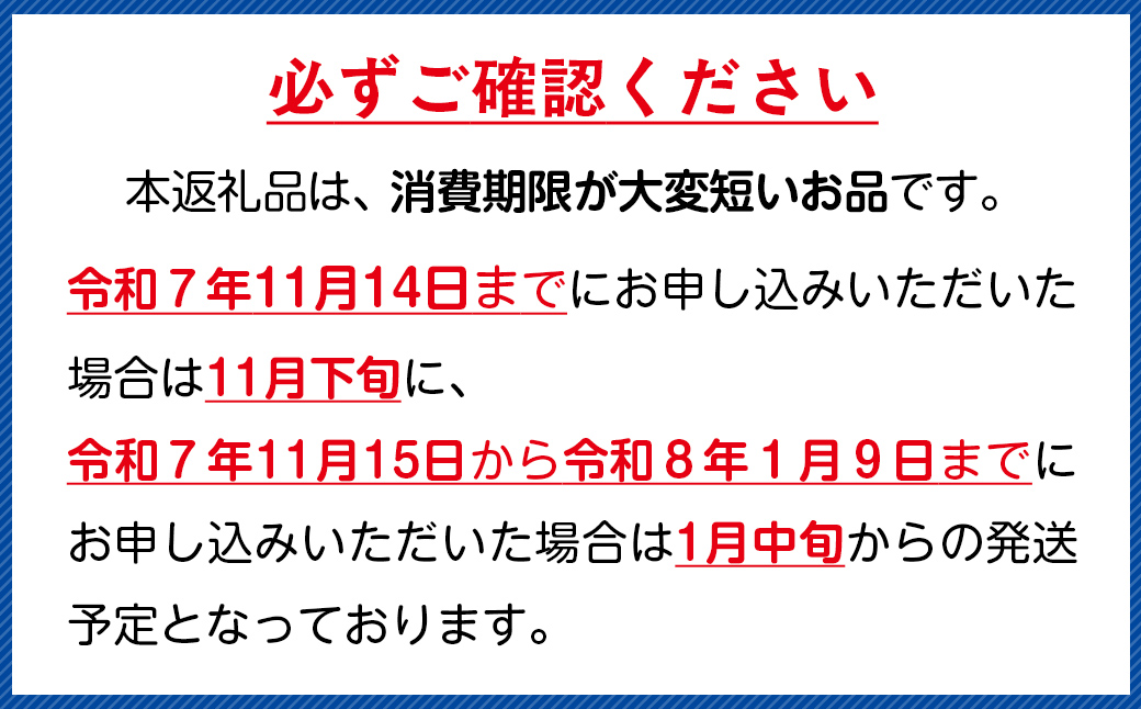 北海道室蘭産 天然活蝦夷あわび 5個入（1個100g～120g前後）（2025年11月下旬頃お届け） MROH006