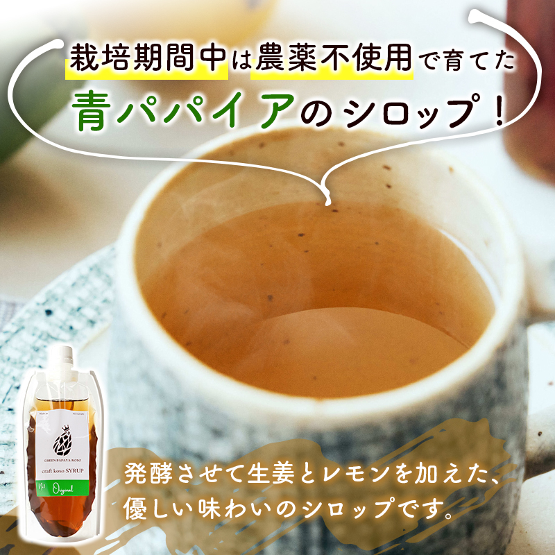 酵素の王様青パパイアのドリンクセット 全4種 国産 ヘルシー グリーンパパイア【A322】_イメージ2