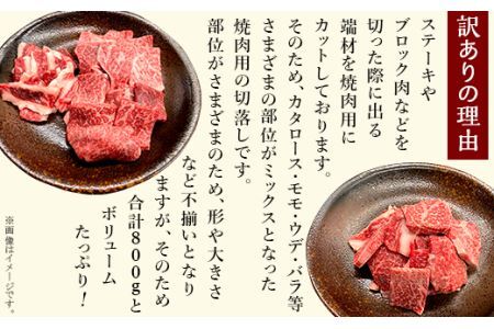【訳あり】国産信州和牛カタロース・モモ・ウデ・バラ焼肉用切落し800g（400g×2パック）