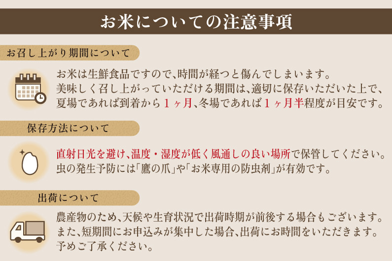1パック 600g