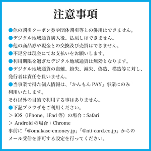 かんもんPAY 16,500円分  ( 電子クーポン チケット クーポン あとから 旅行 観光 トラベル レジャー グルメ 交通 家族 子供 ファミリー 国内旅行 アウトドア 北九州 門司港 ) 下関