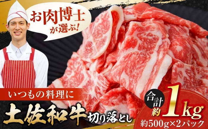 
            高知県産 土佐和牛 切り落とし 炒め物 すき焼き用 約500g×2 総計約1kg 国産 牛肉 切落し すきやき 【(有)山重食肉】 [ATAP201]
          