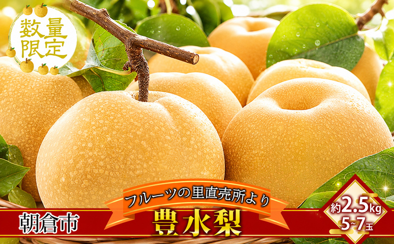 フルーツの里の直売所より 豊水梨 2.5kg ナシ 果物 先行予約 