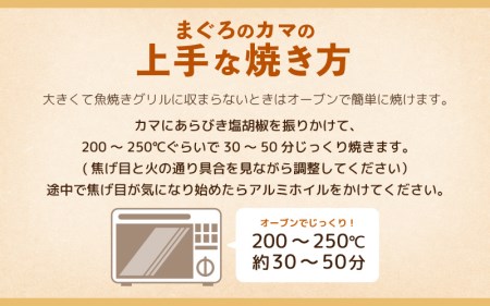 マグロの王様！国産 本まぐろカマ3kg [e04-b020] 抜群の脂乗り 本まぐろ 本マグロ まぐろ マグロ 鮪