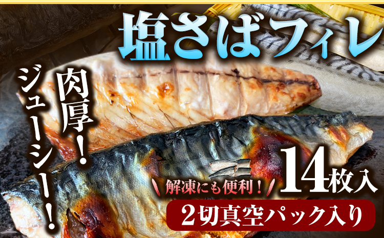 塩さばフィレ(真空パック入) 24枚入 魚鶴商店《30日以内に出荷予定(土日祝除く)》 和歌山県 日高町 さば 塩サバ 鯖