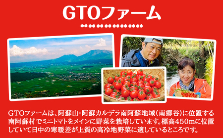 ぷりうまミニトマト ドライミニトマト セット 計900g トマト ミニトマト 野菜 GTOファーム 熊本県 南阿蘇村《2026年7月上旬-10月末頃出荷》