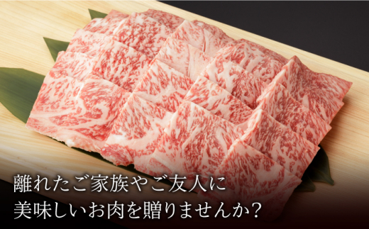 【6回定期便】 佐賀和牛 ロース 焼肉 1.1kg 【一ノ瀬畜産】 [NAC135] 肉 精肉 牛肉 佐賀和牛 佐賀県産 黒毛和牛